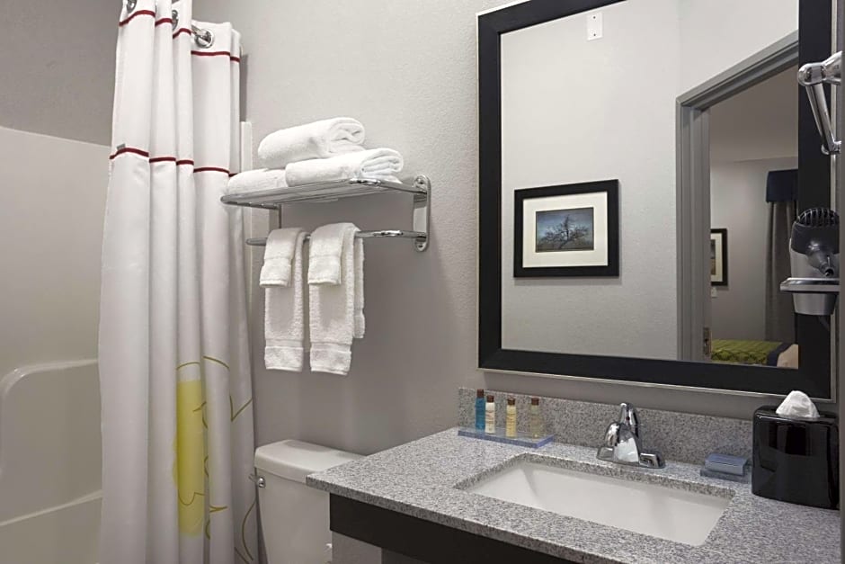 Hawthorn Suites by Wyndham San Angelo