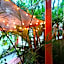 Hotel Villa Tulipanes