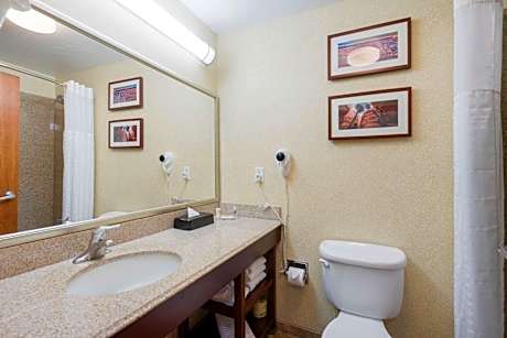 1 King Bed, Nonsmoking