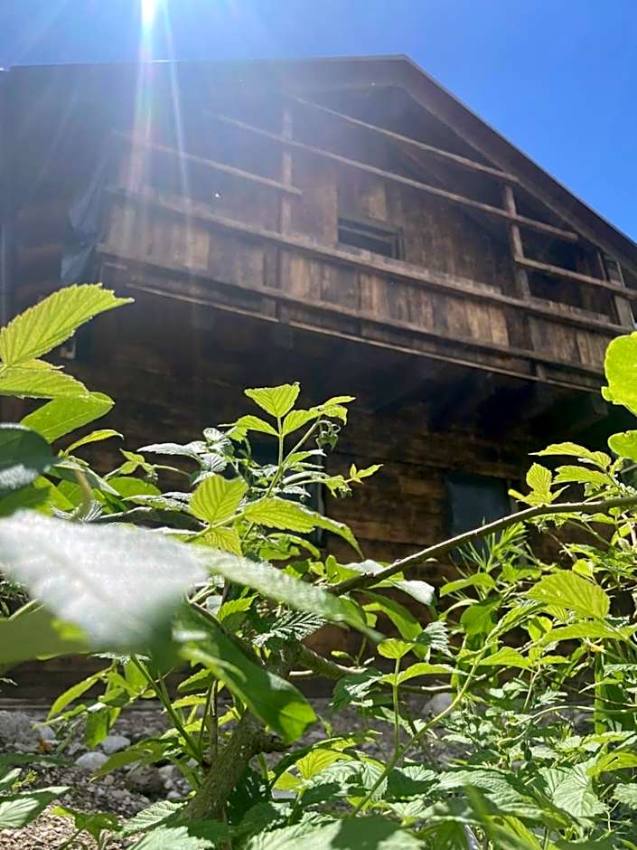 Eirl DOLOMITES Retreat Sappada