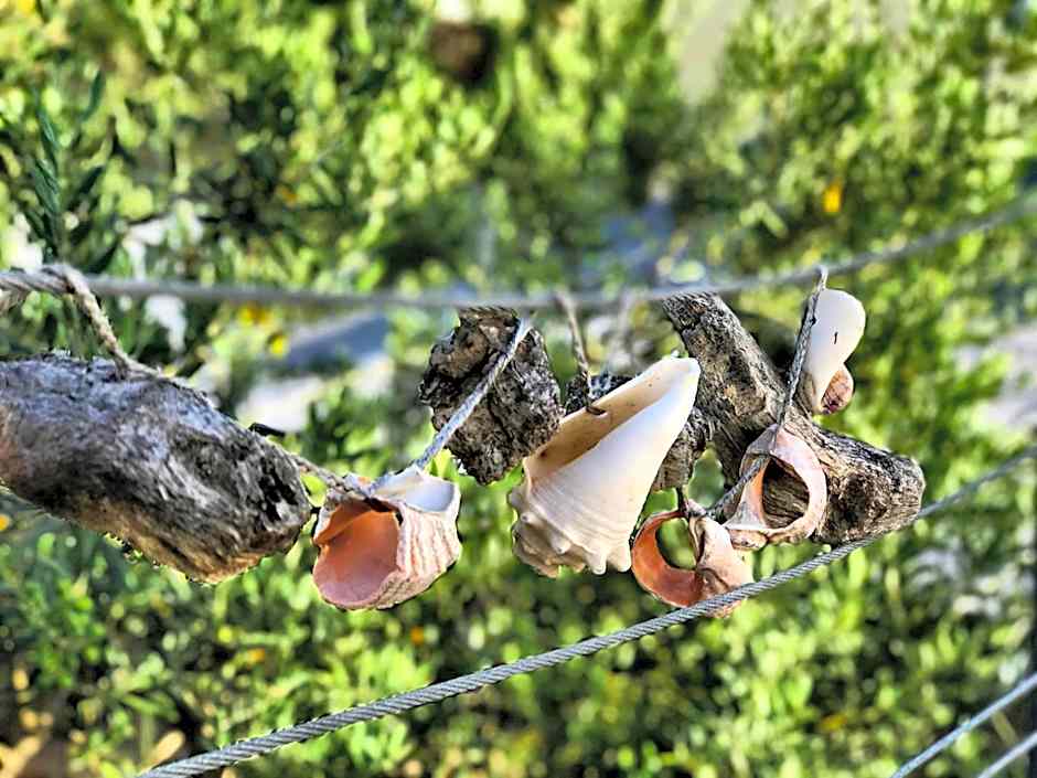 B&B Villa Du Roc Fleuri