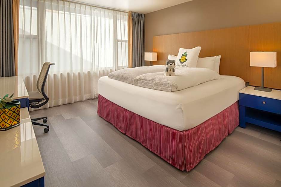 Photo 1 of 4 of 1 King Bed, Mobility Accessible, Bathtub, Metro View