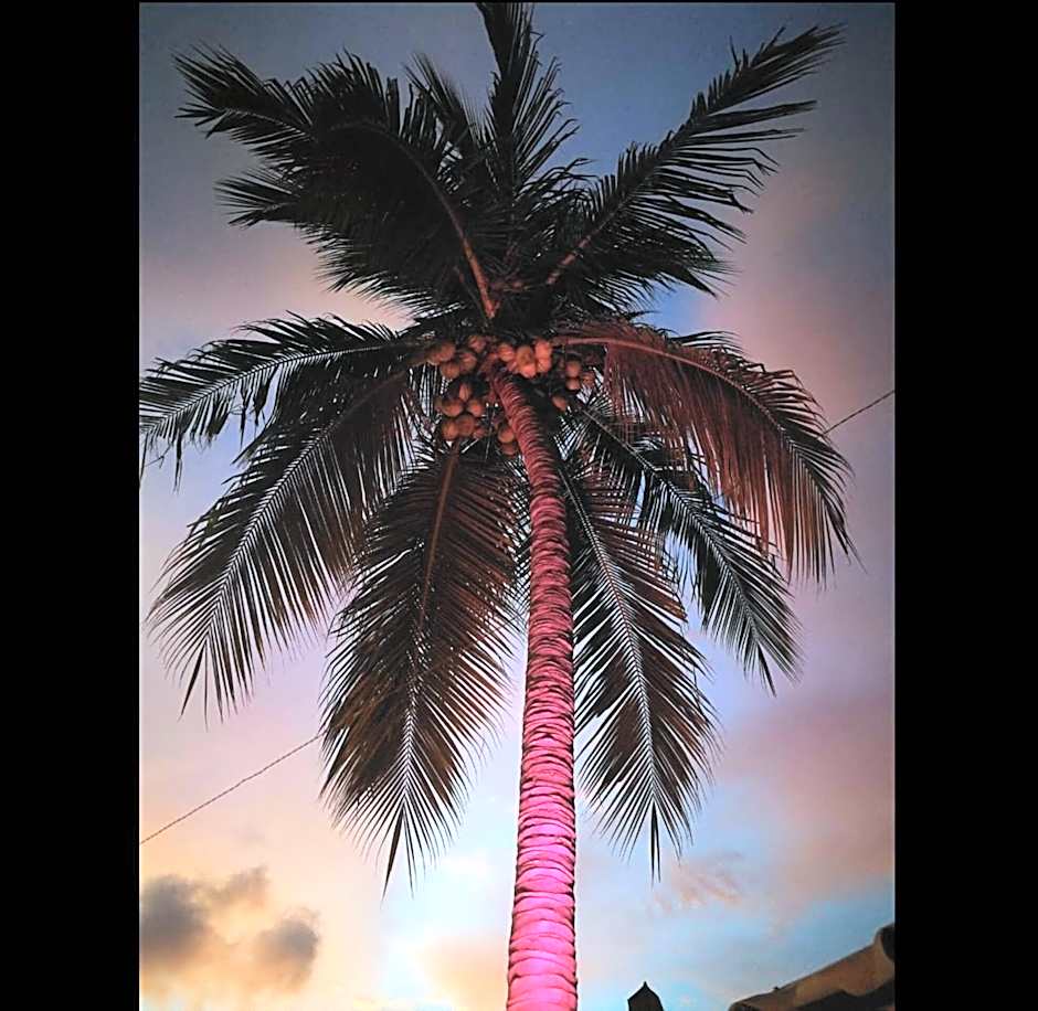 La Palmera Hostel