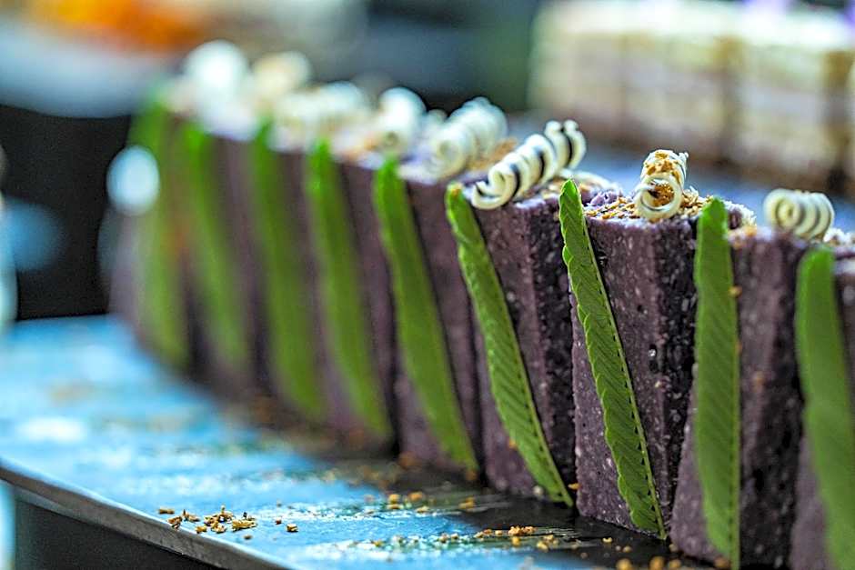 HVD Club Bor Ultra All Inclusive - Private Beach & Free parking