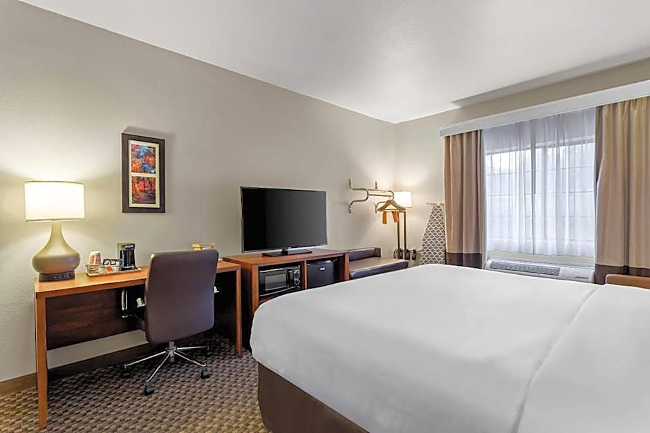 Comfort Inn & Suites Midtown