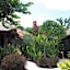 Guava Garden