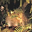 Nardazul "Casa de Sueños"