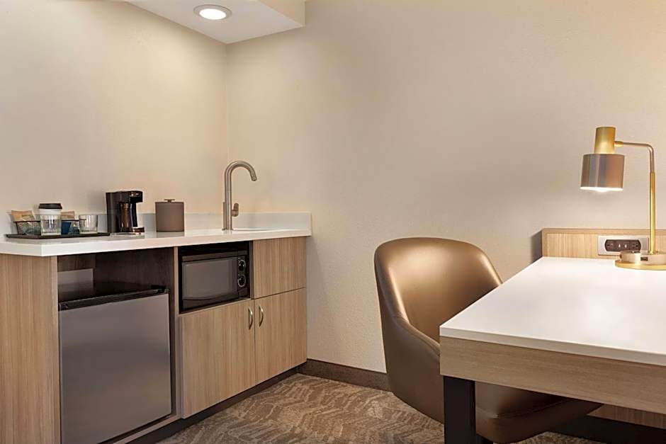 SpringHill Suites by Marriott Phoenix Chandler/Fashion Center