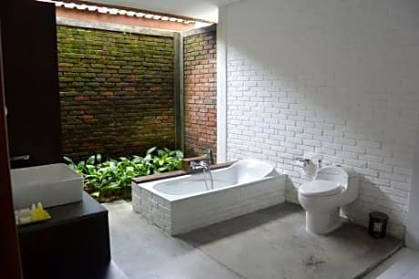 Double Room with Pool View