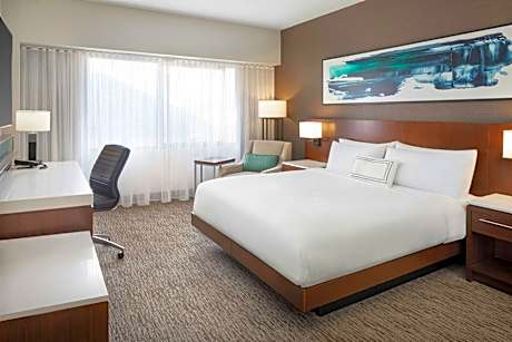 1 Bedroom Junior Suite, 1 King, Sofa bed