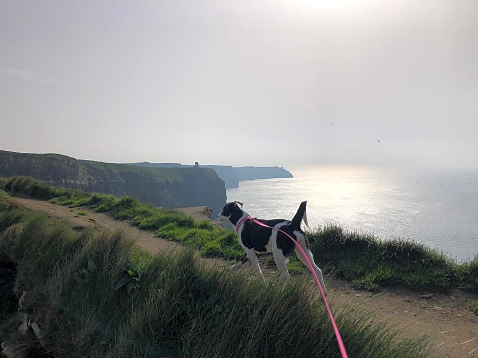 Ocean View Guestrooms