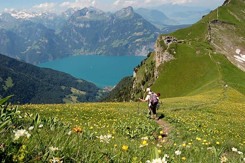 Fronalpstock Hotel & Restaurant