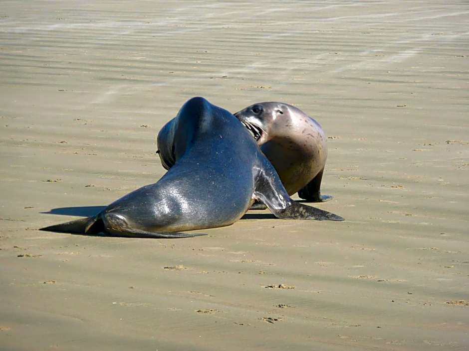Thomas's Catlins Lodge and Camp Ground