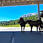 Hotel Berghof