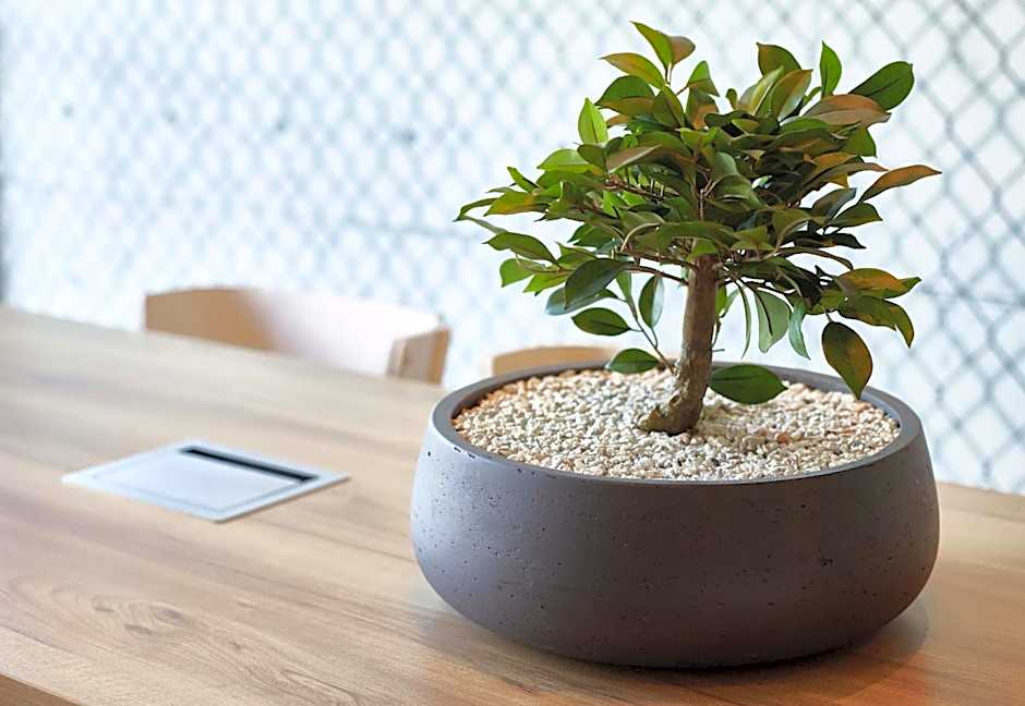 B&B HOTEL Le Port Marly Saint Germain en Laye