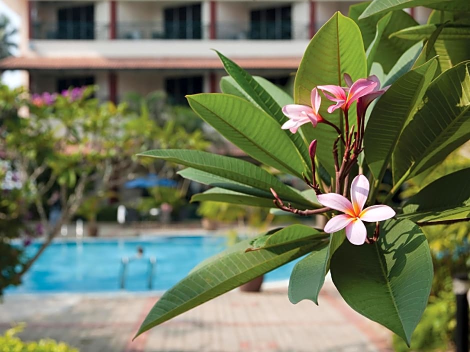 The Qamar Paka Resort