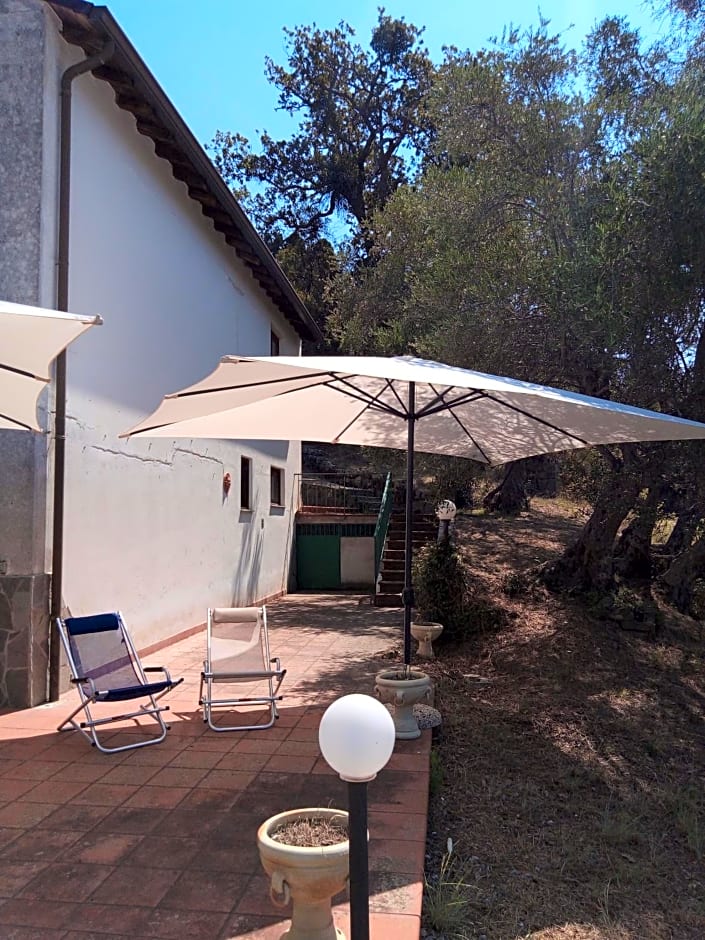 L'Antica Quercia B&B