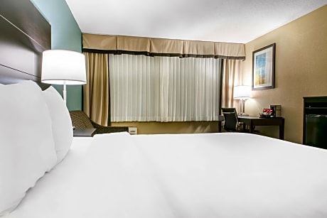 1 King Bed, Nonsmoking