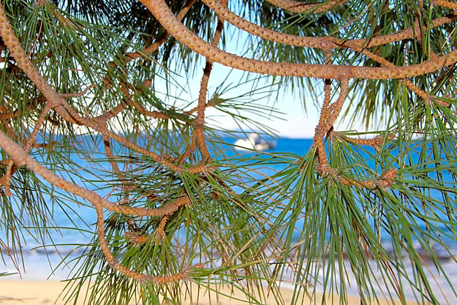 Hôtel de La Fossette