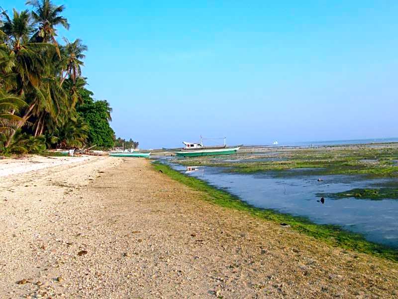 Treasure Island Beach Bungalows