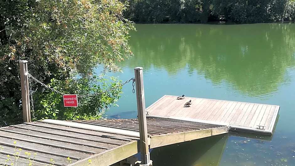 Les Pingouins De La Marne – Le Perreux-sur-Marne, CA