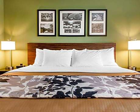 King Room - Non Smoking/Pet Friendly