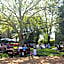 Petersons Armidale Winery and Guesthouse