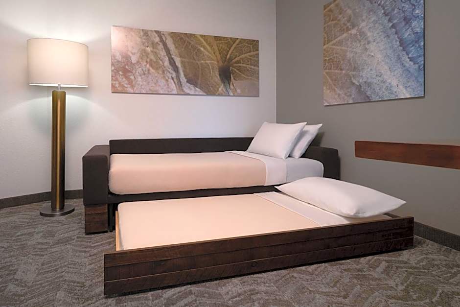 SpringHill Suites by Marriott Orlando at FLAMINGO CROSSINGS Town