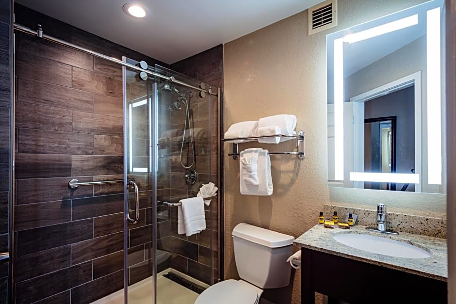Best Western Plus Greenville I-385 Inn & Suites