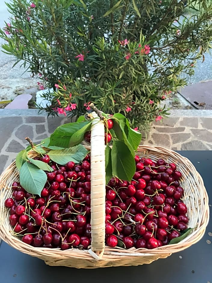 La casa tra i vigneti