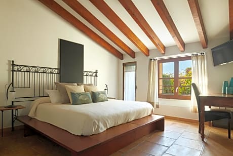 Double Room with Terrace