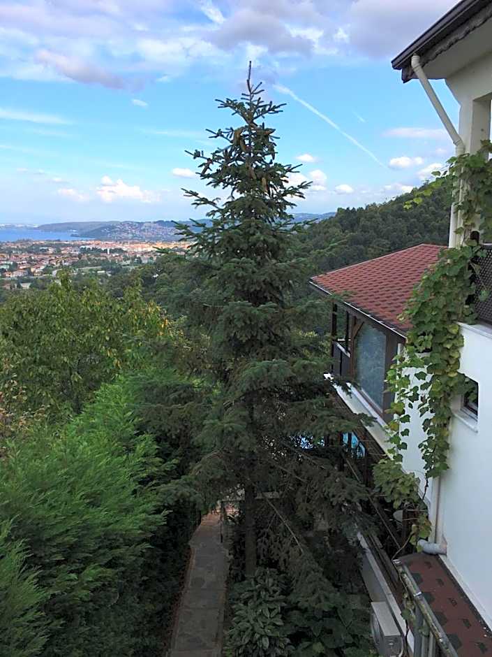 Sapanca Dilek Konagi Hotel