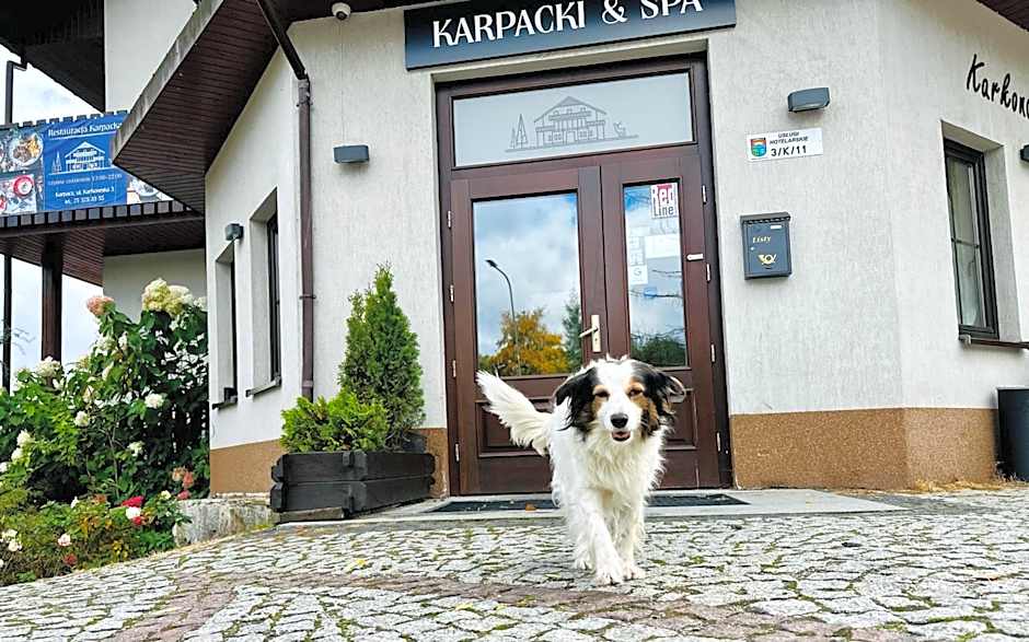 Karpacki & SPA - blisko wyciągu, Restauracja, Sala Zabaw, Bar 24h
