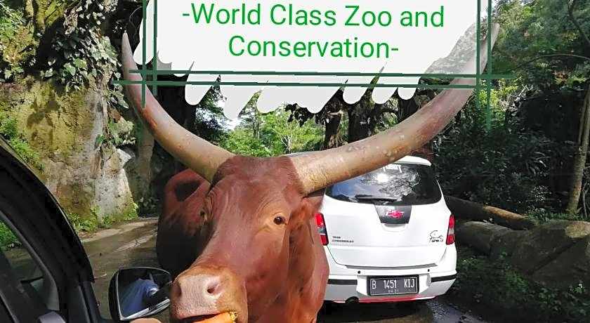 GIO Guesthouse Bogor (perlu bukti nikah)