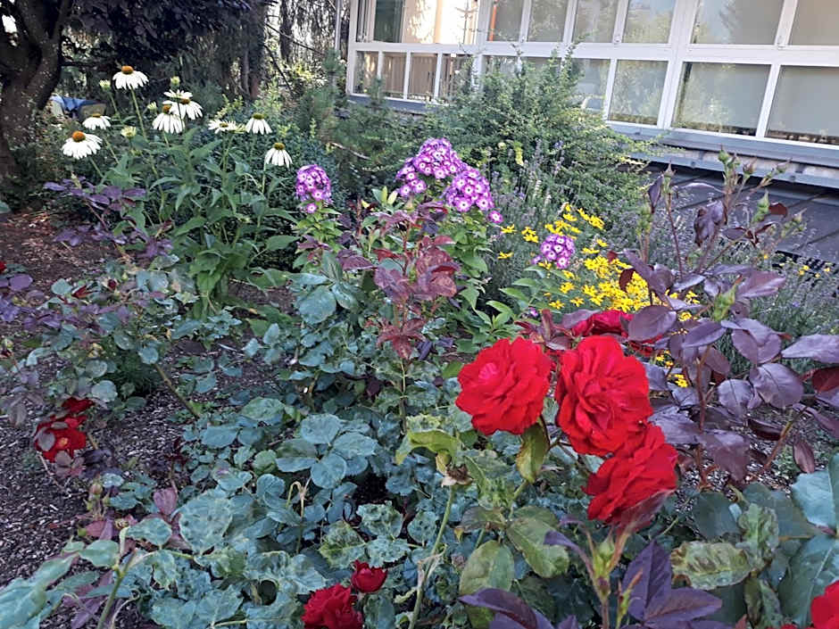 Dolomitenhotel Lienz