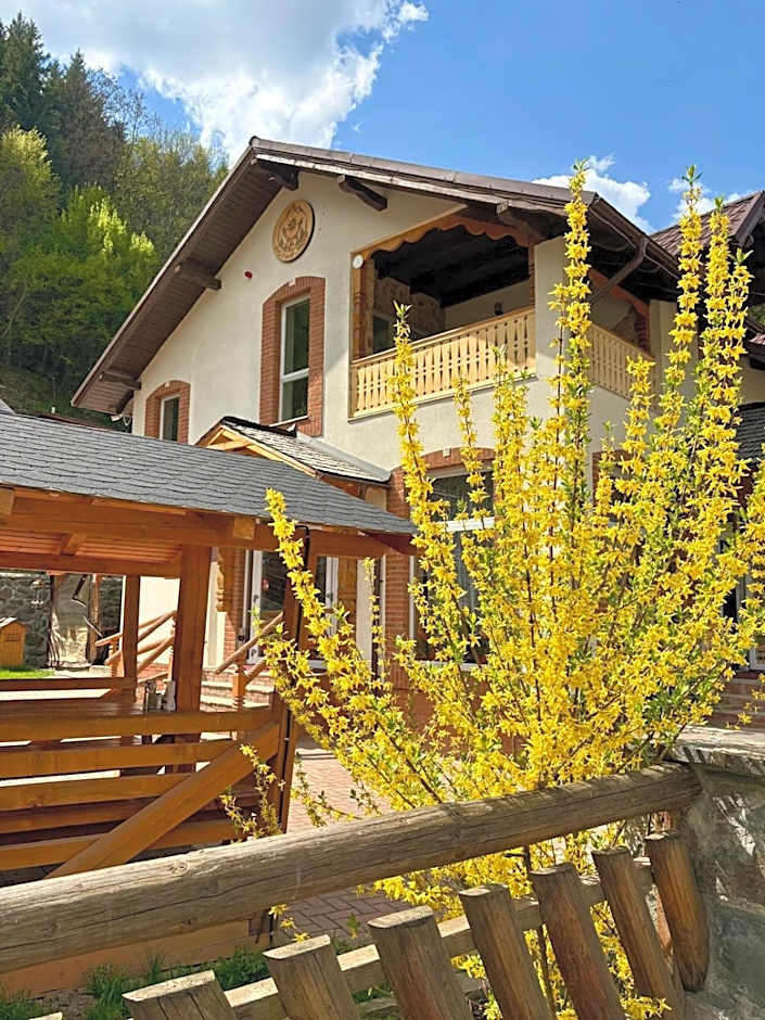 Pensiunea Popas Pop, Strambu-Baiut, Maramures