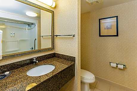 1 King Bed Suite Nonsmoking