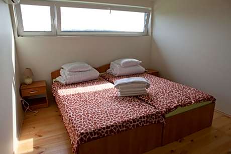 Family Room - Attic 2