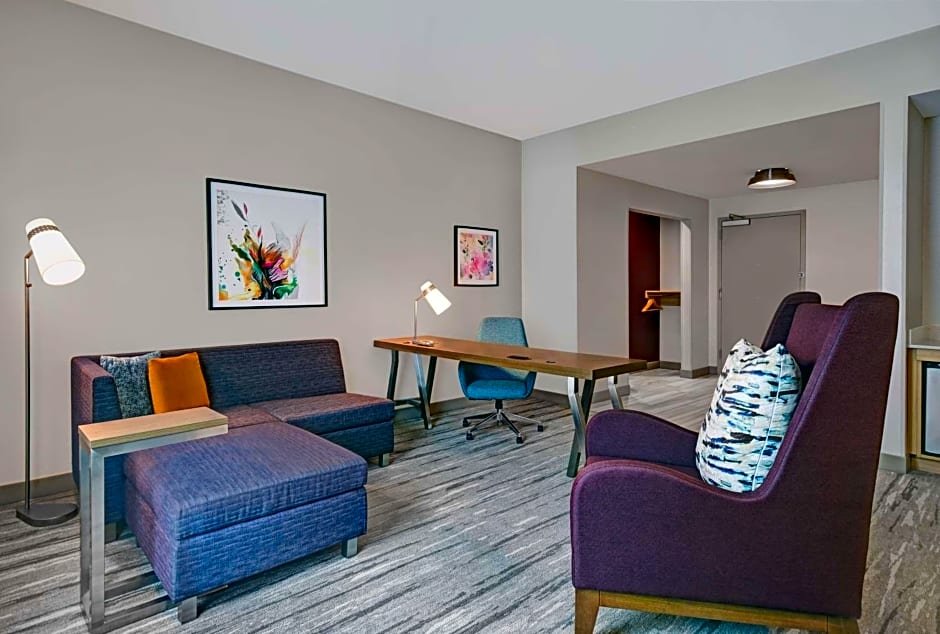 Hilton Garden Inn Houston Medical Center, TX
