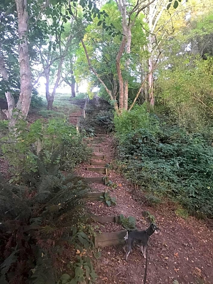 Blair Athol Accommodation