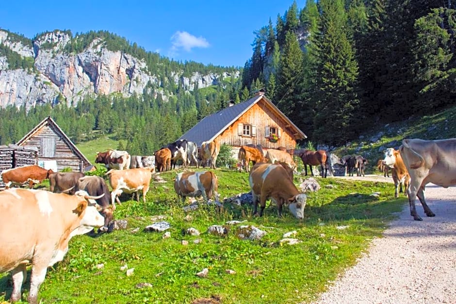 Alprima Aparthotel Hinterstoder