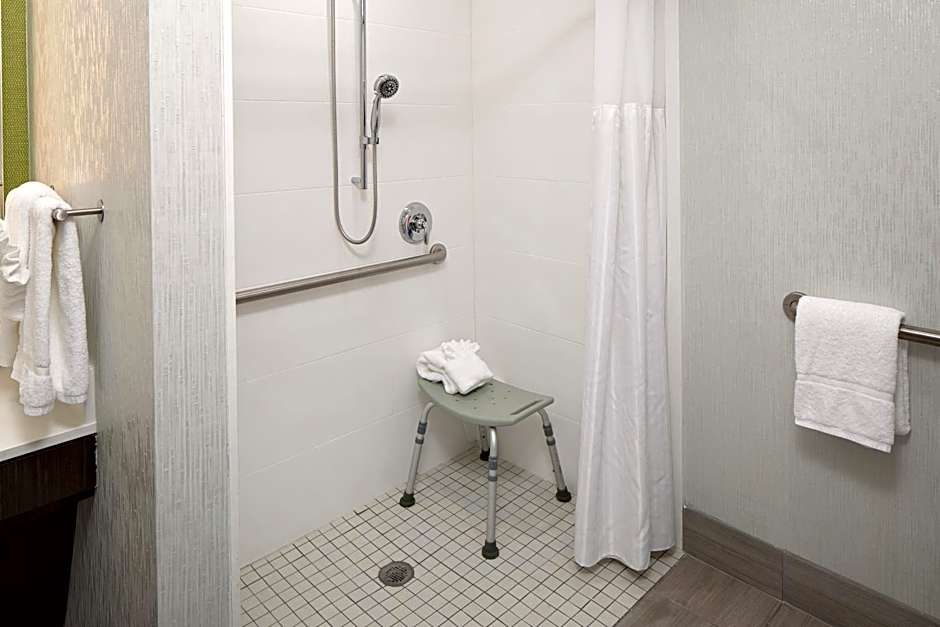 Hilton Garden Inn Dfw Airport South