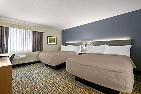 Suite-2 Queen Beds NSMK 2 Rooms Sofabed Desk Lounge Chair Microwave Fridge Continental Breakfast