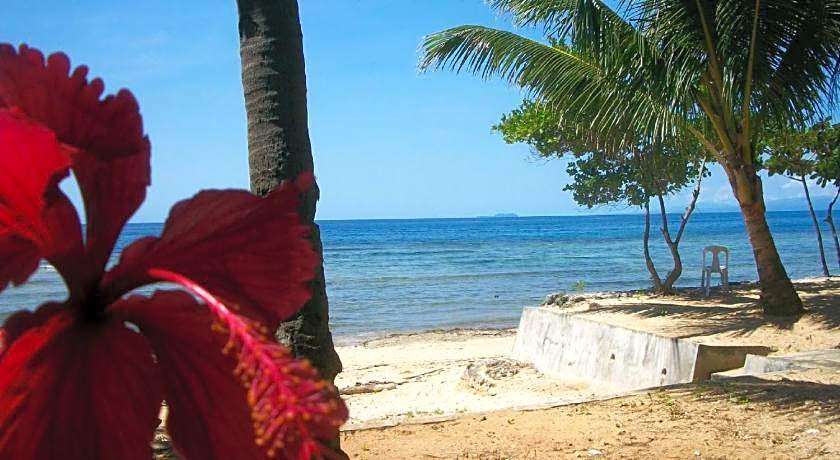 Toris Backpackers Paradise