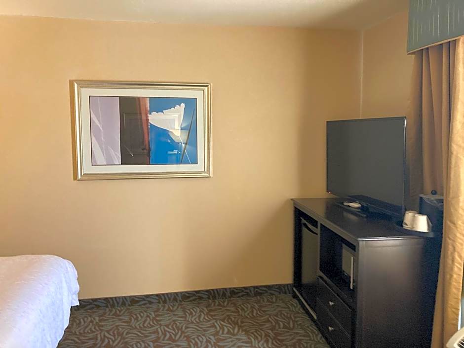 Hampton Inn By Hilton & Suites Carlsbad