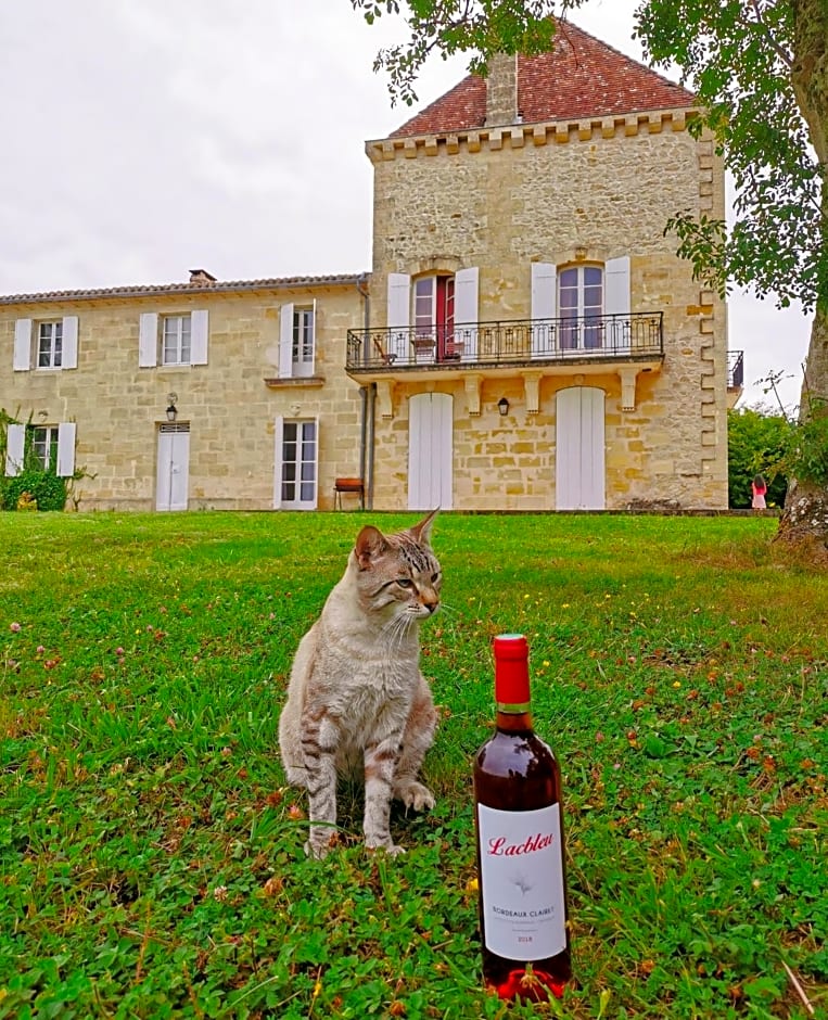 Bordeaux Château lacbleu