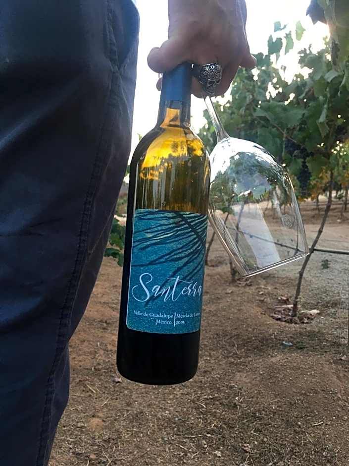 Santerra, Valle de Guadalupe