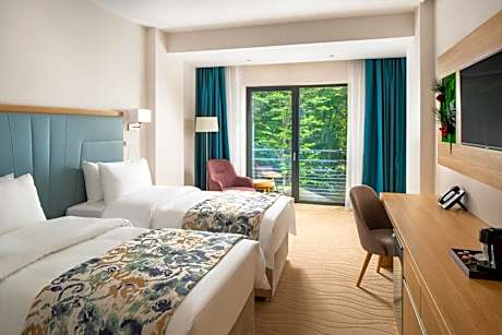 Superior Double or Twin Room with Terrace