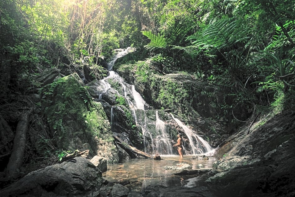 Daintree Eco Lodge & Spa