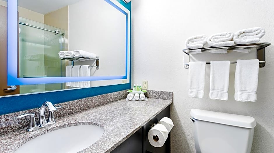 Holiday Inn Express & Suites Wyomissing By IHG